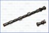 NISSA 1302060J00 Camshaft